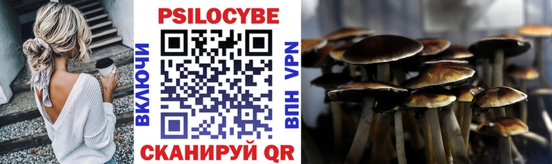 как найти наркотики  MEGA зеркало  Галлюциногенные грибы Psilocybine cubensis  Тюмень 